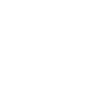 smart +